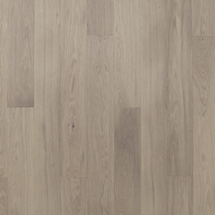 OAK STORY 138 SALVIA