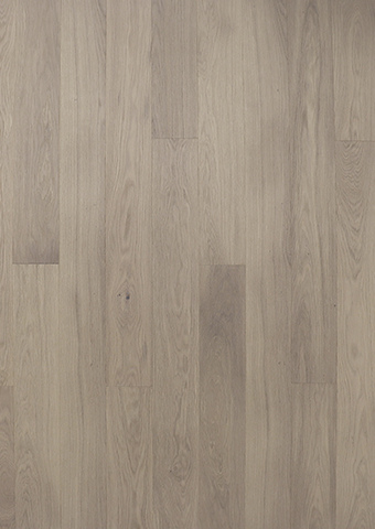 OAK STORY 138 SALVIA