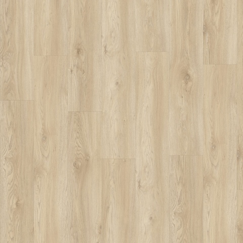 Виниловая плитка Moduleo Next TORRE OAK 248